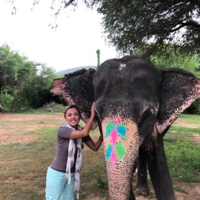 Experiencia con Elefantes en Dera Amber, Jaipur - India. FAM TRIP IH